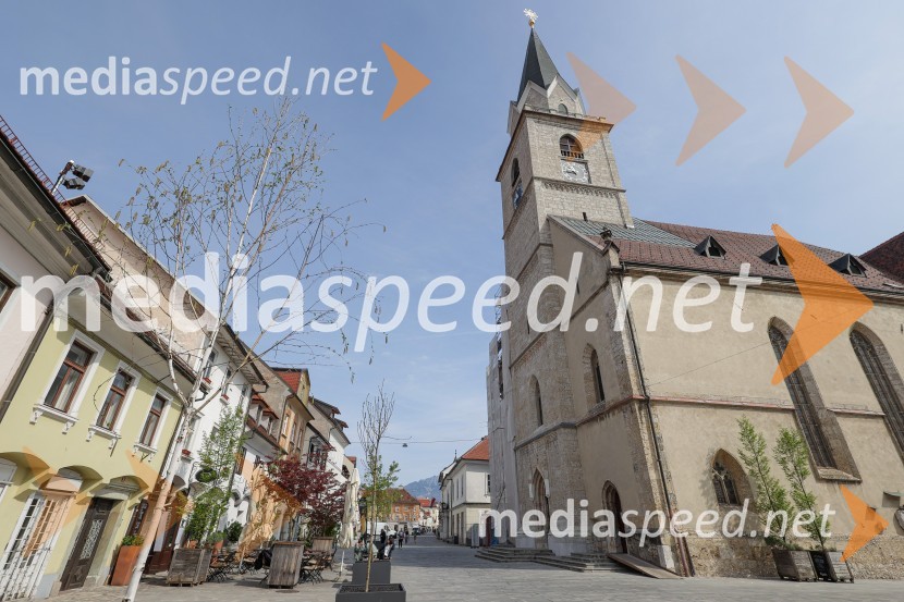 Nova drevesa za zeleni Kranj