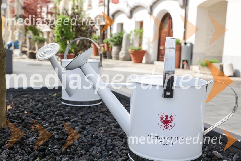 Nova drevesa za zeleni Kranj