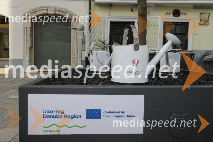 Nova drevesa za zeleni Kranj