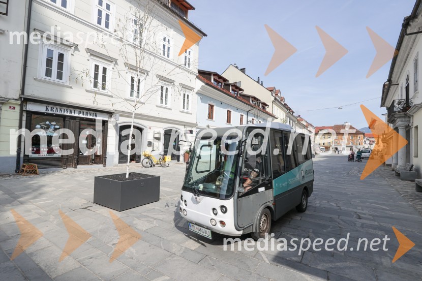 Nova drevesa za zeleni Kranj