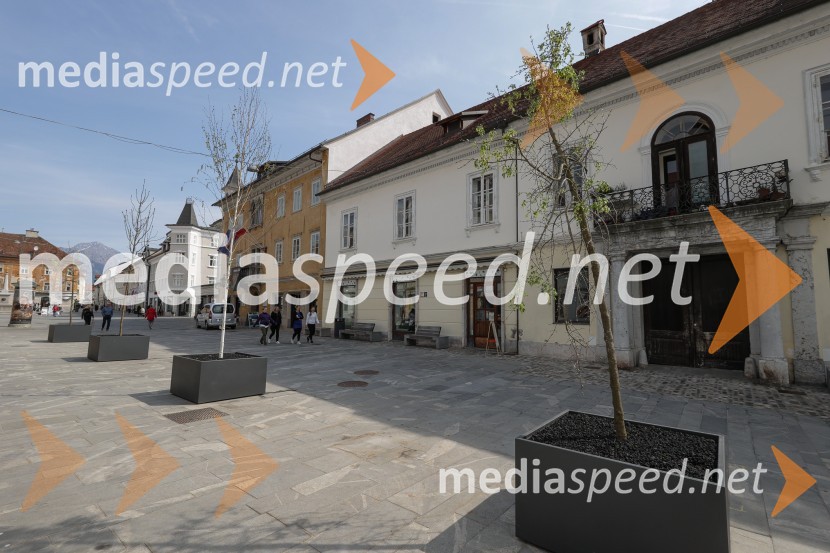 Nova drevesa za zeleni Kranj