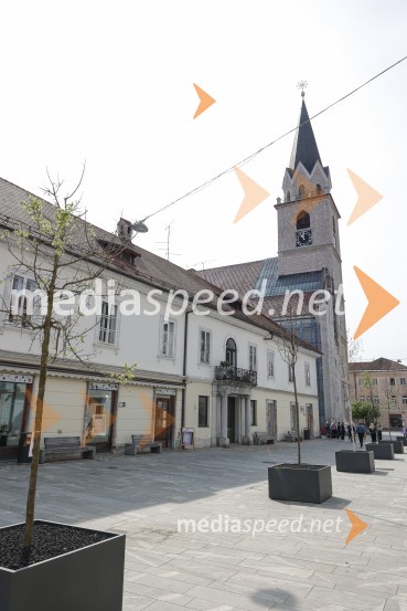 Nova drevesa za zeleni Kranj