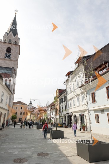 Nova drevesa za zeleni Kranj