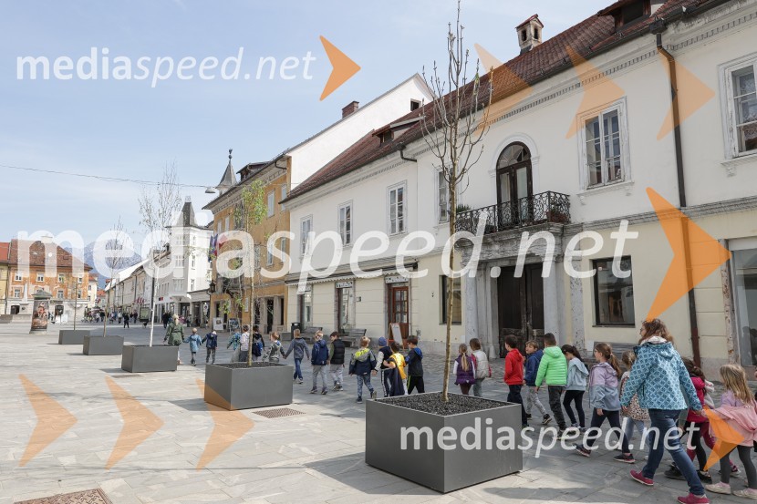 Nova drevesa za zeleni Kranj