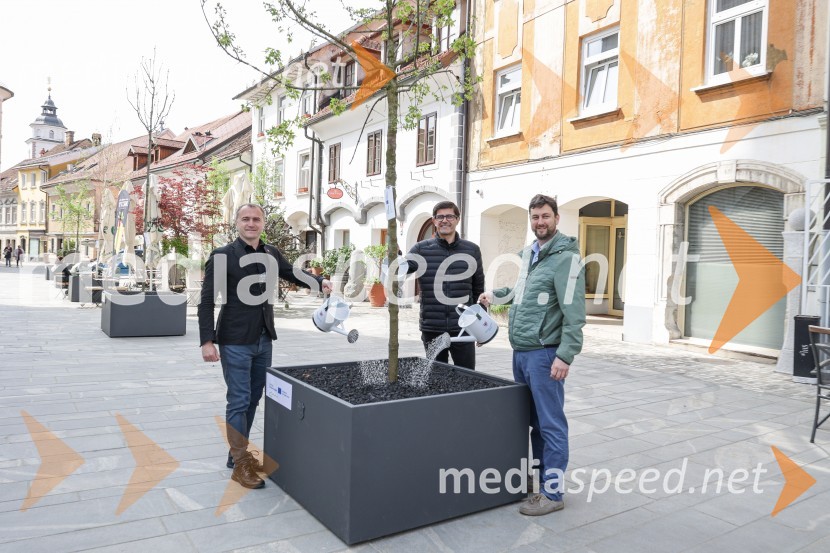  Klemen Malovrh, direktor, Zavod za turizem Kranj;  Matjaž Rakovec, župan Mestne občine Kranj;  Anže Šinkovec, predsednik Krajevne skupnosti CenterNova drevesa za zeleni Kranj