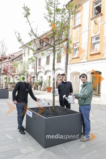  Klemen Malovrh, direktor, Zavod za turizem Kranj;  Matjaž Rakovec, župan Mestne občine Kranj;  Anže Šinkovec, predsednik Krajevne skupnosti CenterNova drevesa za zeleni Kranj