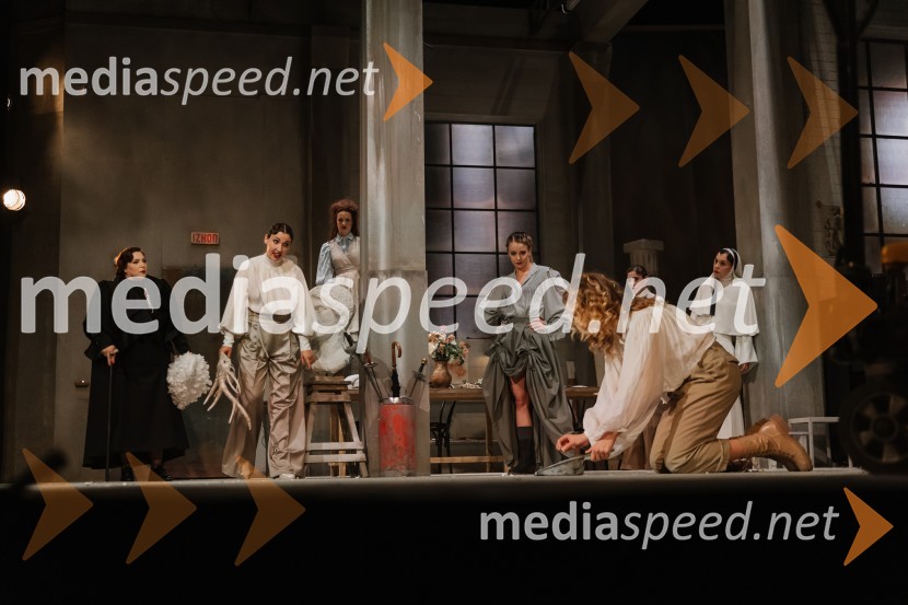 Mnogo hrupa za nič, premiera komedije v SNG Nova Gorica