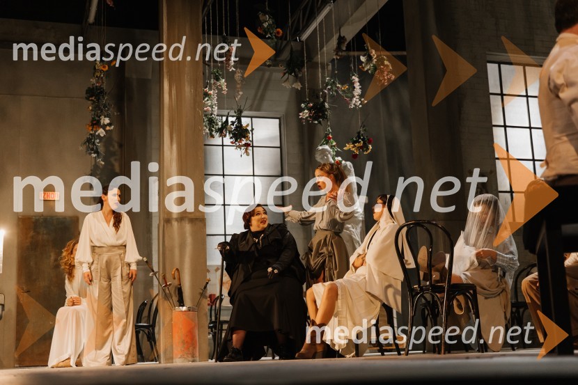  Patrizia  Jurinčič Finžgar, igralka;  Ana Facchini, igralka;  Lara Fortuna, igralka;  Maja Poljanec, igralkaMnogo hrupa za nič, premiera komedije v SNG Nova Gorica