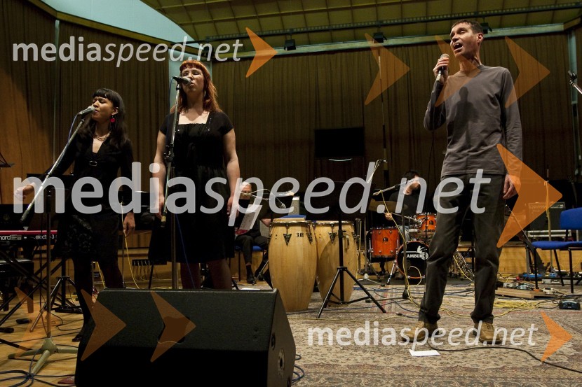 Aleš Hadalin, šansonjerFestival Slovenskega šansona 2009