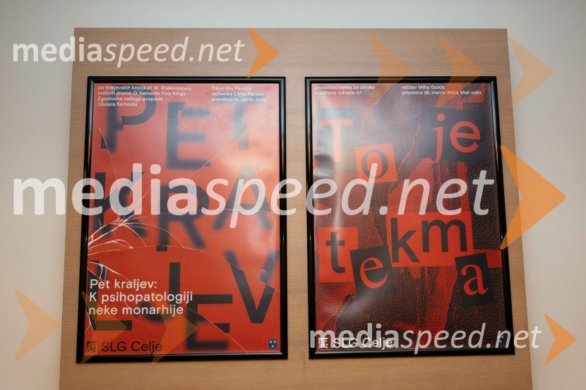 Premiera krstne uprizoritve drame v SLG Celje: Pet kraljev: K psihopatologiji neke monarhije