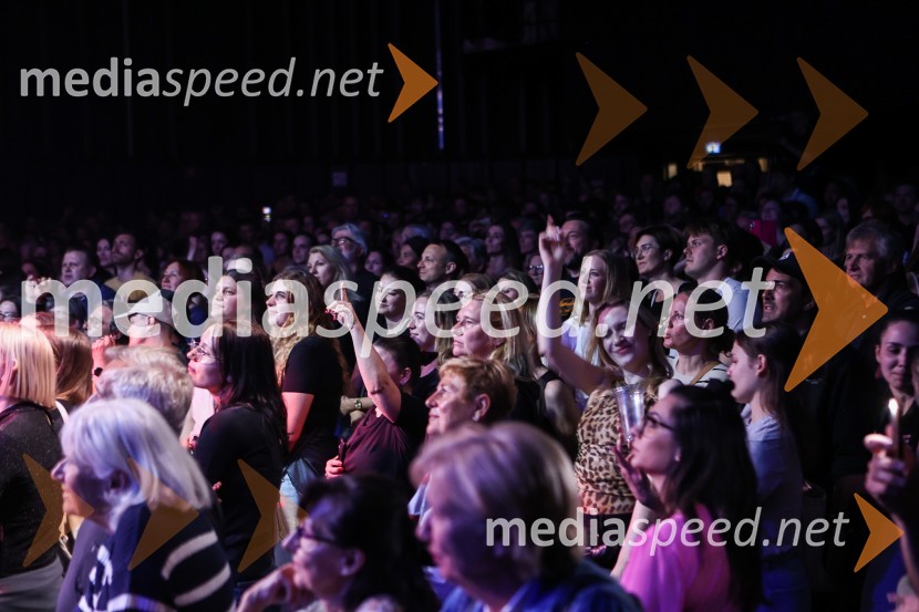 Tradicionalni koncert MGL&AGRFT v Kino Šiška