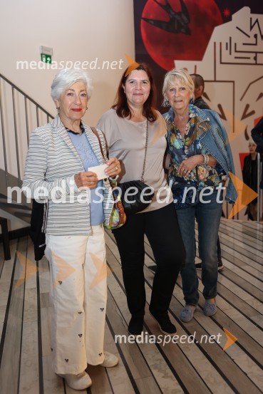  ... ;  Teja Pelko, novinarka, Svet24;  ... Tradicionalni koncert MGL&AGRFT v Kino Šiška