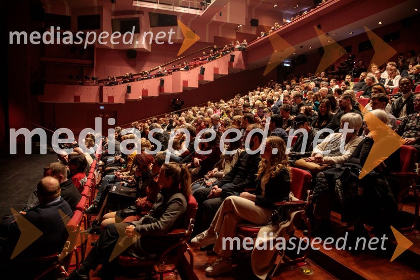 Raiven s koncertom v Cankarjevem domu obeležila 10 let delovanja