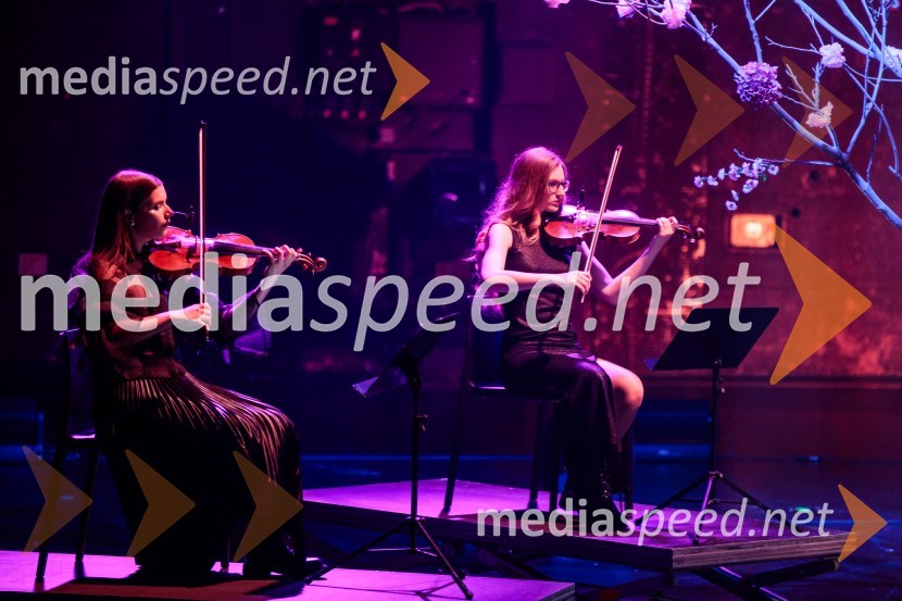 Raiven s koncertom v Cankarjevem domu obeležila 10 let delovanja