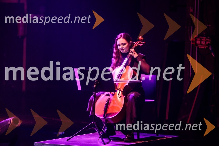 Raiven s koncertom v Cankarjevem domu obeležila 10 let delovanja