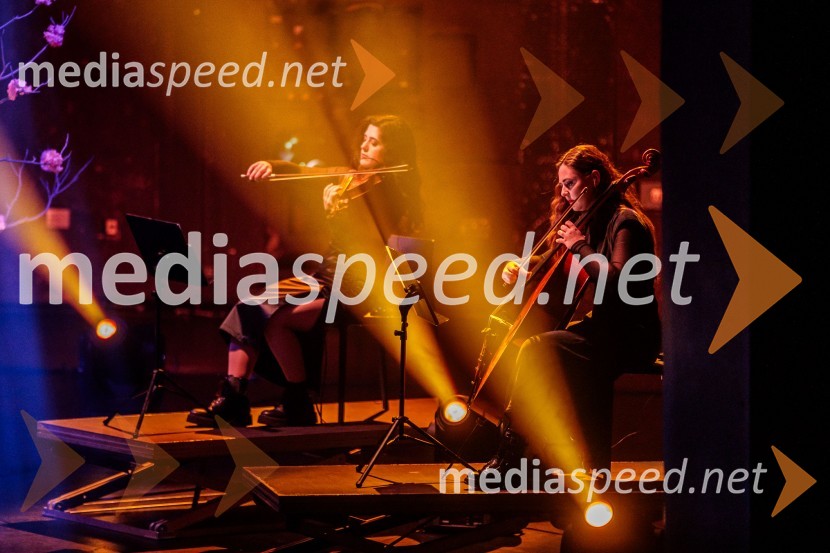 Raiven s koncertom v Cankarjevem domu obeležila 10 let delovanja