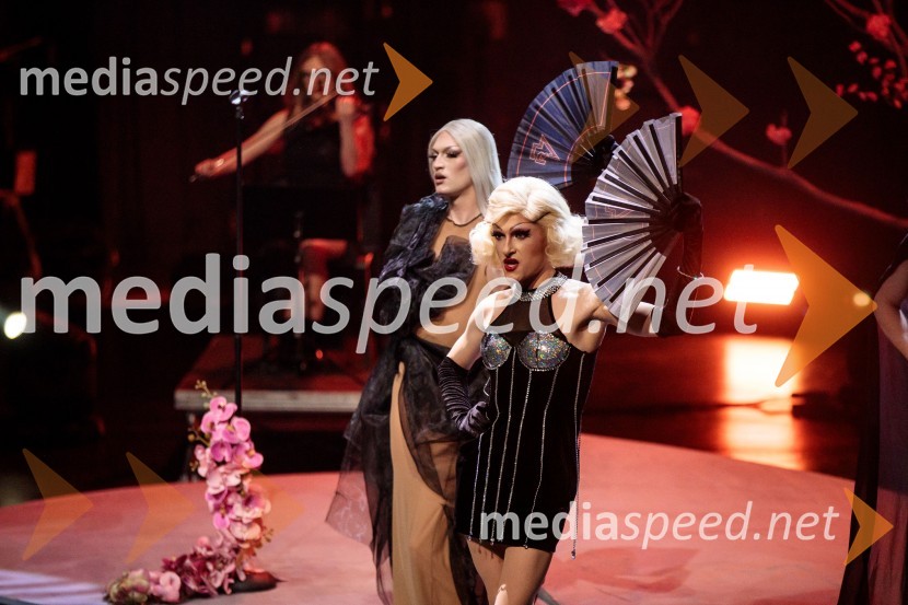 Raiven s koncertom v Cankarjevem domu obeležila 10 let delovanja