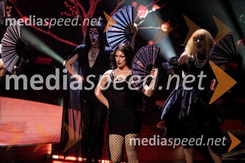 Raiven s koncertom v Cankarjevem domu obeležila 10 let delovanja