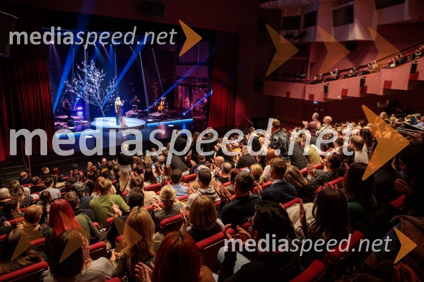 Raiven s koncertom v Cankarjevem domu obeležila 10 let delovanja