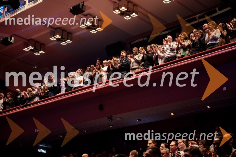 Raiven s koncertom v Cankarjevem domu obeležila 10 let delovanja