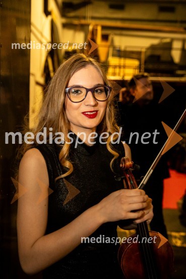 Raiven s koncertom v Cankarjevem domu obeležila 10 let delovanja