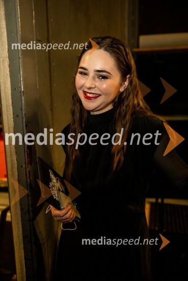 Raiven s koncertom v Cankarjevem domu obeležila 10 let delovanja