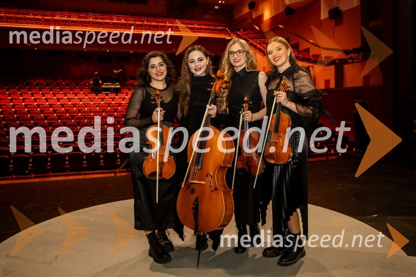 Raiven s koncertom v Cankarjevem domu obeležila 10 let delovanja