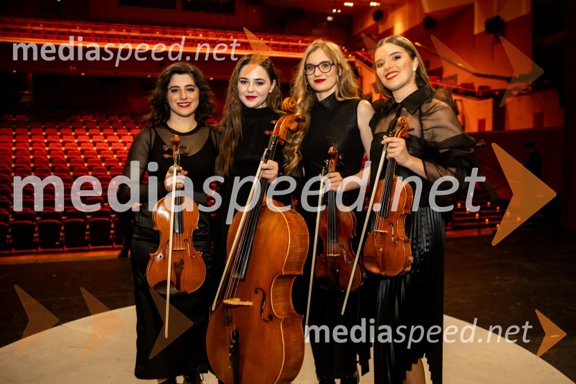 Raiven s koncertom v Cankarjevem domu obeležila 10 let delovanja