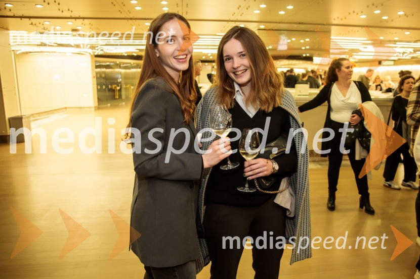 Raiven s koncertom v Cankarjevem domu obeležila 10 let delovanja