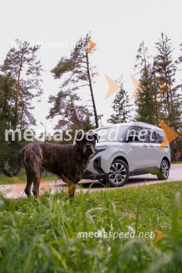 Novi Ford Tourneo in Transit Courier, predstavitev