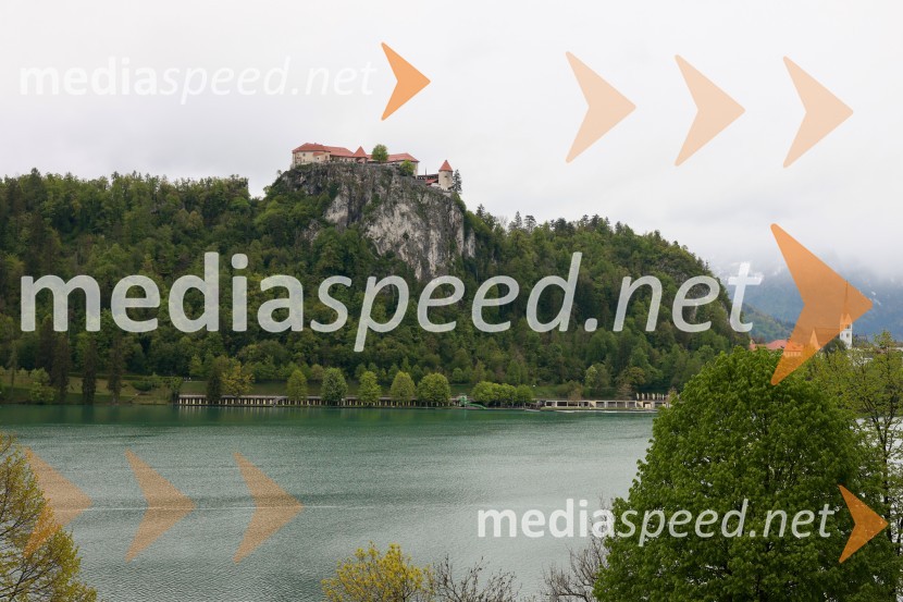 Novi Ford Tourneo in Transit Courier, predstavitev