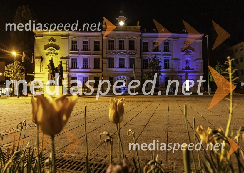 Gimnazija Kranj v barvah Evropske unije