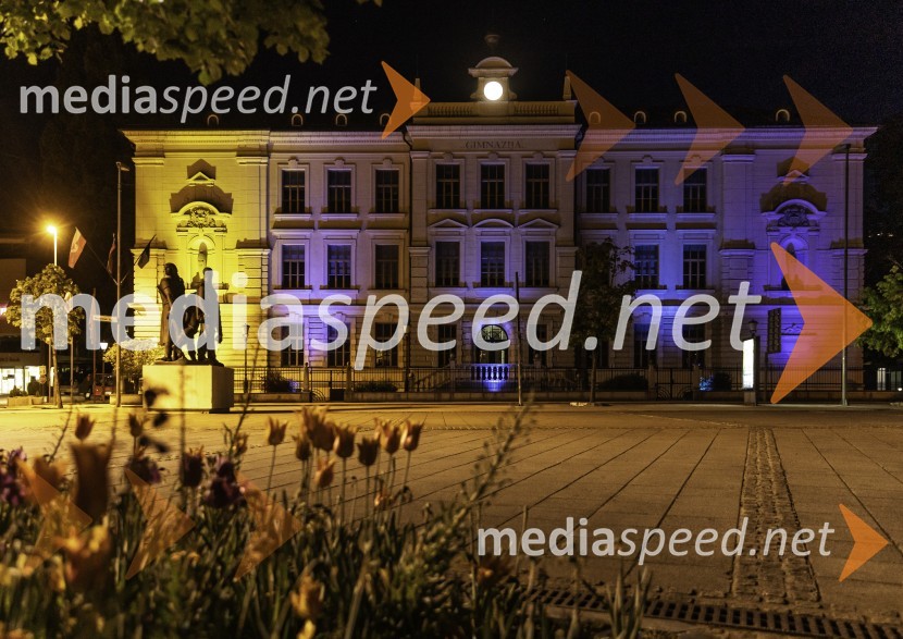 Gimnazija Kranj v barvah Evropske unije