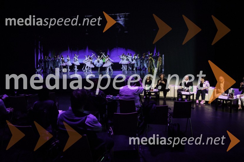 Novinarska konferenca ob 2. mednarodnem festivalu Baletne noči