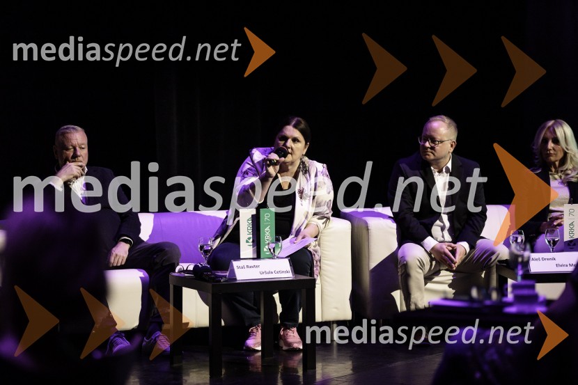  Staš Ravter, direktor SNG Opera in balet Ljubljana;  Uršula Cetinski, generalna direktorica, Cankarjev dom; mag. Aleš Drenik, vodja programa resne glasbe, opere in balet, Cankarjev dom;  Elvira Medved,  vodja Službe za odnose z javnostmi Krka d.d.Novinarska konferenca ob 2. mednarodnem festivalu Baletne noči