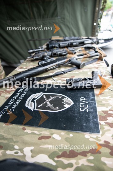 Dan Slovenske vojske 2024