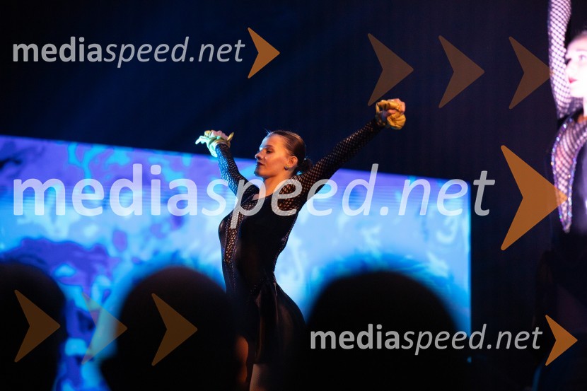  Danilo Rošker, direktor SNG MariborVečer šampionov 2024