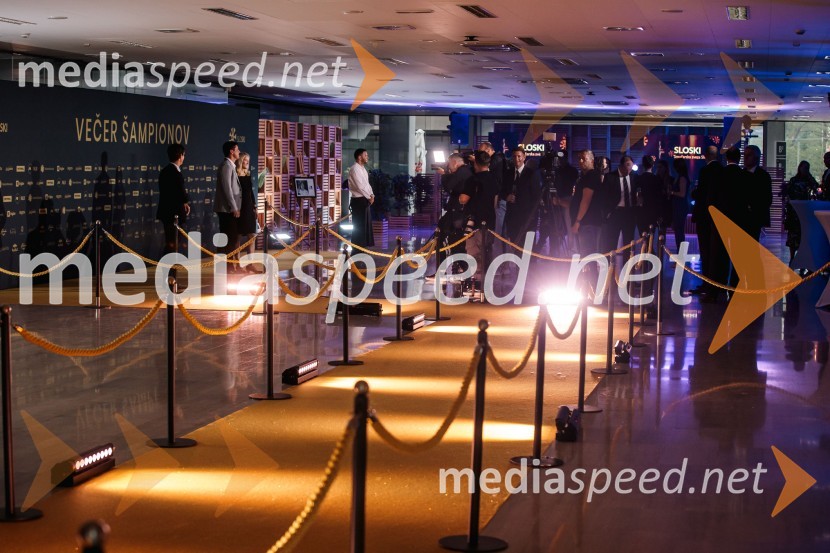 Večer šampionov 2024