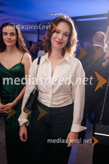 Večer šampionov 2024