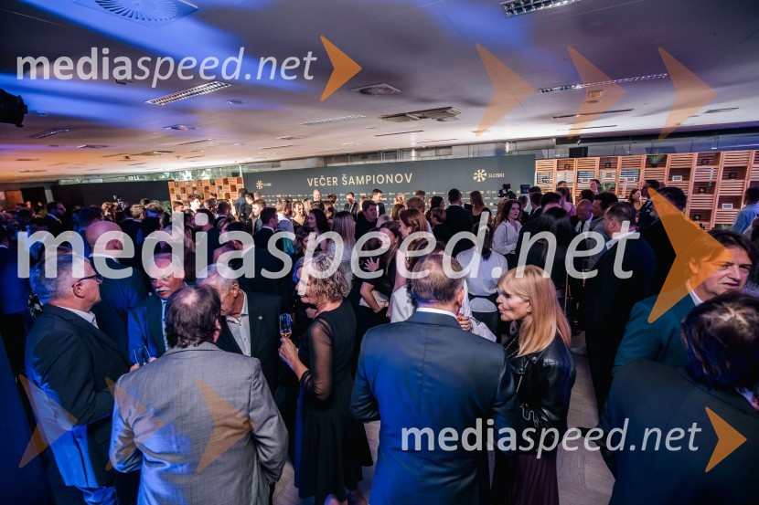 Večer šampionov 2024