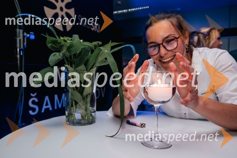 Večer šampionov 2024