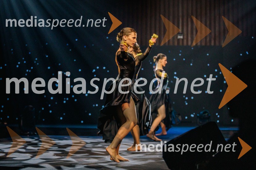 Večer šampionov 2024