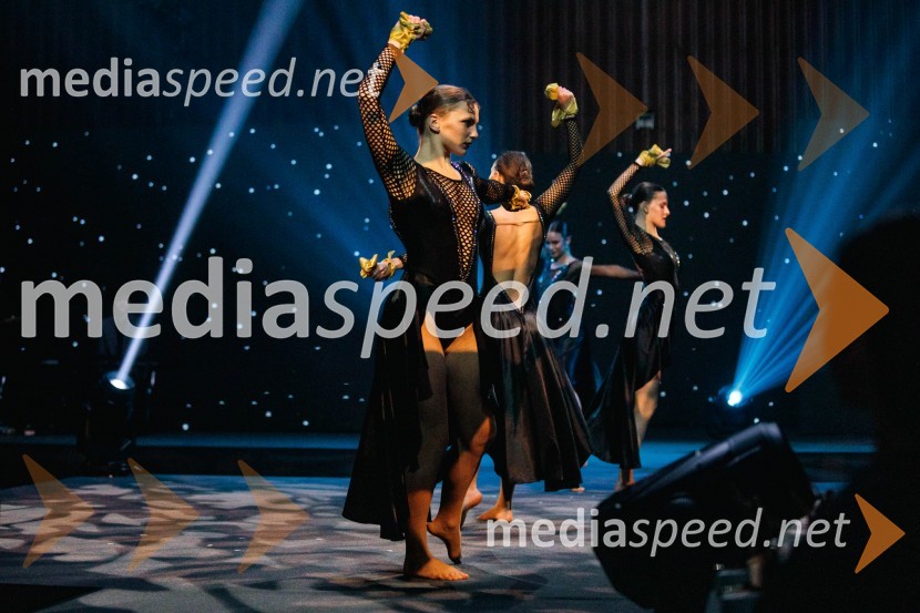 Večer šampionov 2024