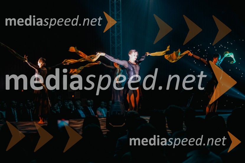 Večer šampionov 2024