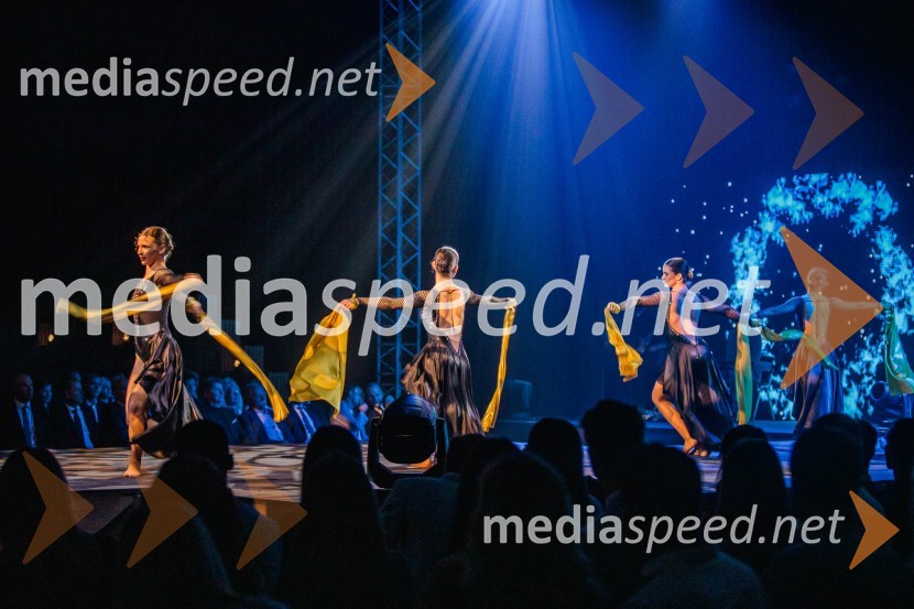 Večer šampionov 2024