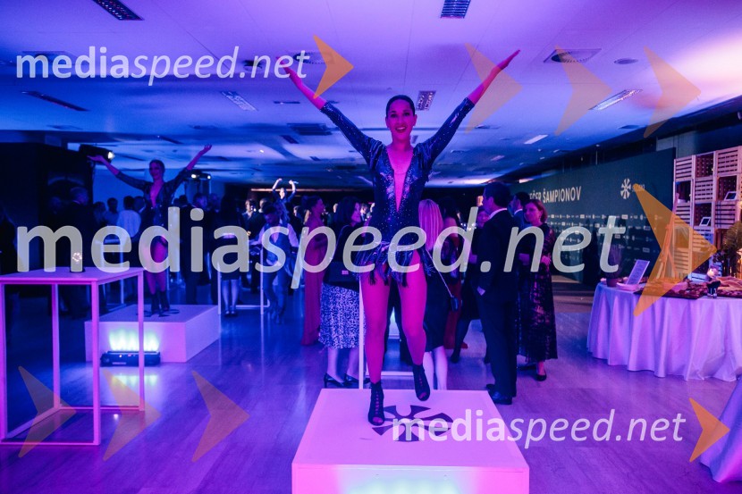 Večer šampionov 2024