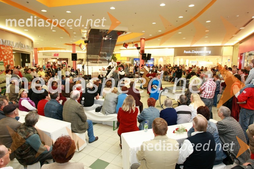 Obiskovalci festivalaFestival narodnozabavne glasbe v Europarku