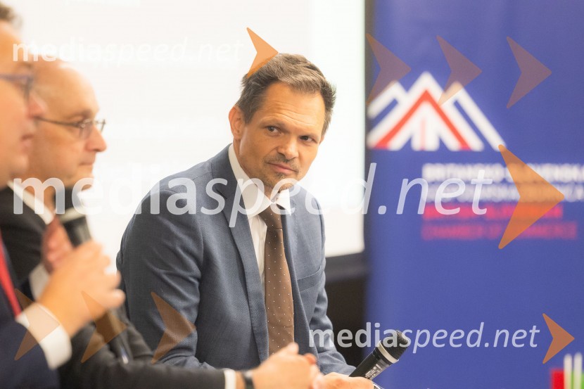  Žiga FIšer, Britansko-slovenska gospodarska zbornicaČaj z razlogom na konferenci z naslovom Pospeševanje zelenega prehoda - priložnosti in financiranje