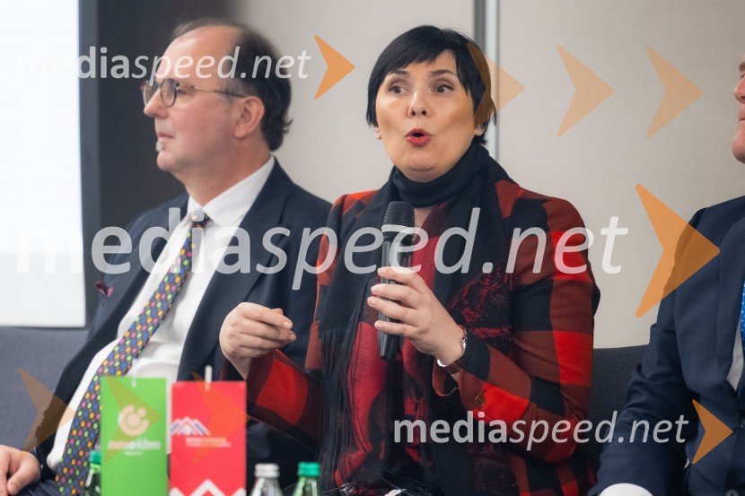  Tea Bilić Zabric, neodvisna vodja nadzora, Rolls-Royce SMRČaj z razlogom na konferenci z naslovom Pospeševanje zelenega prehoda - priložnosti in financiranje