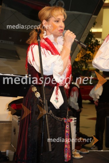 Pevka ansambla Igor in Zlati zvokiFestival narodnozabavne glasbe v Europarku